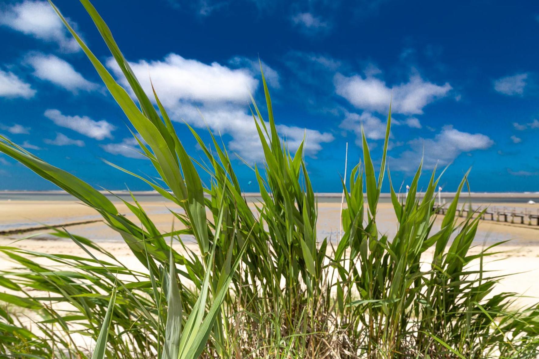 Wohnen Am Suedstrand - Ferienwohnung 1 1 วืคเอาฟ์เฟอร์ ภายนอก รูปภาพ